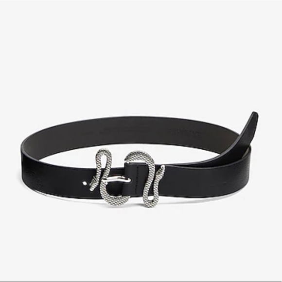 Express snake buckle belt main image 5